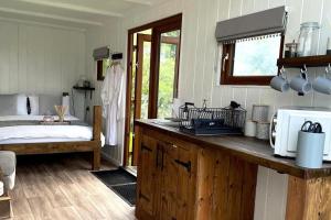 a kitchen with a counter and a bed in a room at Trethowels Grey Hidden hut in St Austell