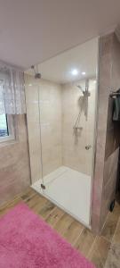 a bathroom with a shower with a pink rug at Duchniczowe in Prusie +19 photos