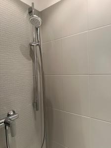 a shower with a shower head in a bathroom at Apartment Auszeit im Ski- und Wandergebiet Spitzingsee - neu renoviert in Schliersee +11 photos