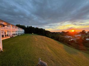 a deer standing in a field at sunset at Mon Joli Motel in Sainte-Flavie