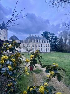 a large white building in a field with yellow flowers at Château Royal de Benays - Hôtel in Benais