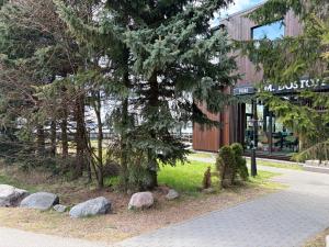 a tree on a sidewalk in front of a building at Nice apartment close to the beach in Tallinn