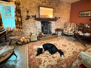a dog laying on a rug in a living room with a fireplace at Wingrove Cottage - Sleeps 8 in Morland