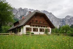 a house in a field with mountains in the background at Domačija Plesnik in Solčava