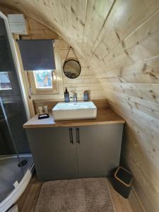 a bathroom with a sink in a tiny house at Le Clos des Chenevières in Rainville +51 photos