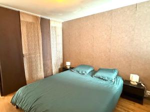 a bedroom with a blue bed with two pillows at Le Fonctionnel - Central in Mâcon