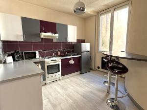 a kitchen with stainless steel appliances and purple cabinets at Le Fonctionnel - Central in Mâcon