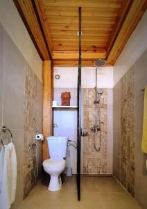 a bathroom with a toilet and a shower at Soa Refuge in Antananarivo
