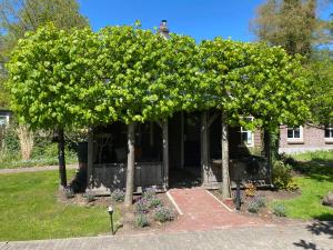 a man standing on top of a tree in a yard at Den Doezel in Vorden