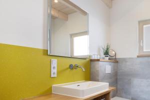 a bathroom with a sink and a mirror at Tinyhaus Nähe Bodensee in Neukirch