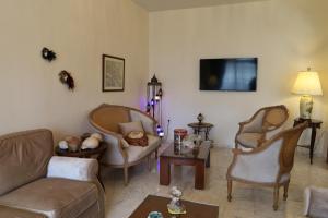 a living room with a couch and chairs and a tv at G. Kiapekou in Loutra Edipsou