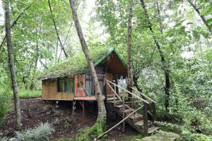 a tree house with a grass roof in the woods at Noble Cheer in Ruhengeri