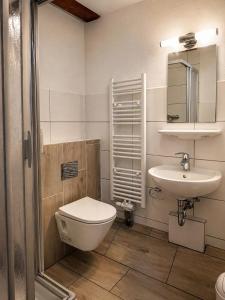 a bathroom with a toilet and a sink at Pension ElbeStay in Königstein an der Elbe