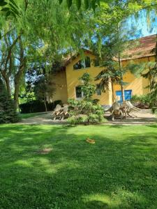 a yellow house with a lawn in front of it at Pension Puiu in Dunavăţu de Jos