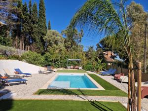 a backyard with a swimming pool and a palm tree at La Maison Fratelli in Hyères