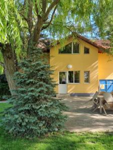 a christmas tree in front of a yellow house at Pension Puiu in Dunavăţu de Jos
