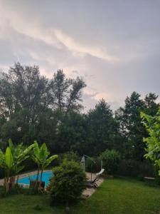 a swimming pool in a yard with trees at Sous les étoiles 1 in Cusset