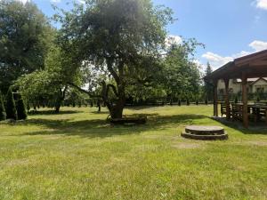 a picnic area with a tree and a pavilion at ChillWagon in Sieraków