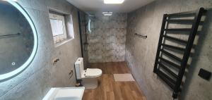 a bathroom with a toilet and a sink and a mirror at ChillWagon in Sieraków