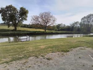 a bench sitting in the grass next to a pond at Champvert in Champvert
