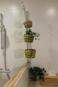 a group of baskets hanging on a wall at Le Chevalier I - L'Écrin Alsacien in Sélestat