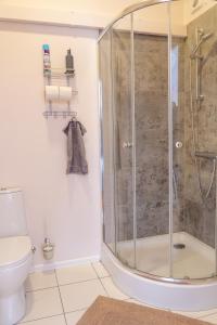 a bathroom with a shower and a toilet at Parko Studija in Birštonas +3 photos