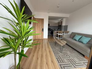 a living room with a couch and a plant at Art Deco 882 in Cuenca