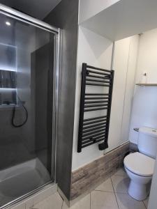 a bathroom with a shower and a toilet at Logis des Bouchons in Morteau +6 photos