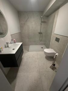 a bathroom with a shower and a toilet and a sink at Royal Apartamenty in Bytom
