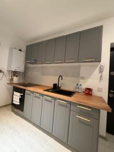a kitchen with gray cabinets and a sink at Otopeni Studios C2 2 Airport Therme in Otopeni