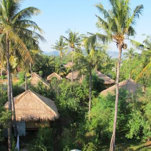 an aerial view of a resort with palm trees at Tangga Bungalows in Gili Air