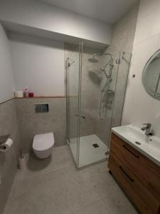 a bathroom with a shower and a toilet and a sink at Royal Apartamenty in Bytom +9 photos