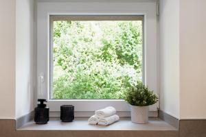 a window in a bathroom with towels and a plant at Kaisers Haus in Vogtsburg +28 photos