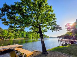 a tree on the shore of a lake with a dock at #02 - Unique Lakeside Studio Cottage- Pet Friendly in Hot Springs