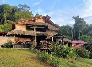 a house with a straw roof at Lodge El Amargal - Reserva Natural, Ecoturismo & Surf in Nuquí