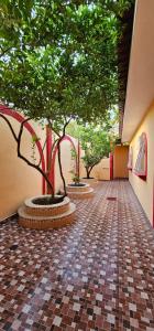 a hallway with two trees and a brick floor at El Tesoro de Arturo in Tilapa