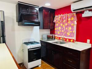 a small kitchen with a sink and a stove at El Tesoro de Arturo in Tilapa