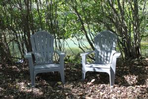 two blue and white chairs sitting next to trees at Meadowview Springs in Louisville