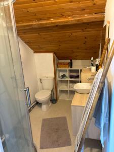 a bathroom with a toilet and a sink at Saint varent guest place in Saint-Varent +11 photos