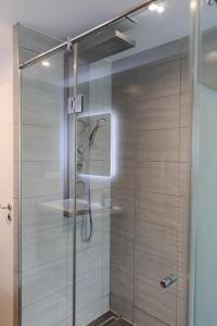 a shower with a glass door in a bathroom at Le Petit Brooklyn, 2 chambres 2 sdb, cœur de Strasbourg in Strasbourg +20 photos