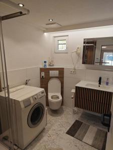 a bathroom with a washing machine and a sink at Ferienwohnung ERSO in Wutöschingen +16 photos