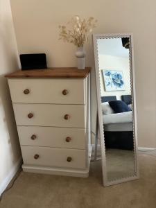 a bedroom with a dresser and a mirror at Wookey Holiday Flat in Wookey