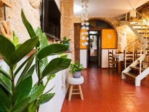 a room with a plant and a table with a chair at La Rustiqueta Javea terraza BBQ casco antiguo in Jávea