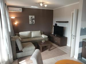 a living room with a couch and a tv at Hotel Kralj in Vrnjačka Banja