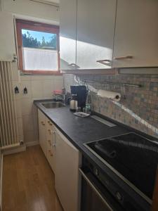 a kitchen with a sink and a counter top at Ferienwohnung mit kleinem Garten in Nettersheim +17 photos