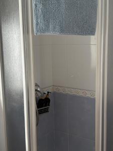 a shower with a glass door with bottles on a shelf at Casa del Abuelo in Setenil +2 photos