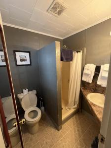 a bathroom with a toilet and a shower and a sink at Martin's Motel USA in Madawaska