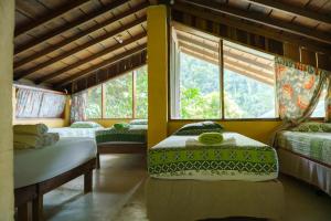 a room with two beds and a window at Jungle River Lodge in La Ceiba