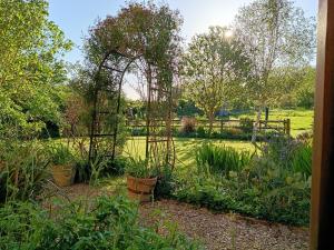 a garden with an arch and plants in a field at Fig Tree Cottage in Dursley