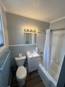 a bathroom with a toilet and a sink and a shower at Gateway Motel USA in Madawaska